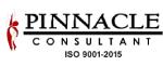 Softnue pinacleconsulting partner